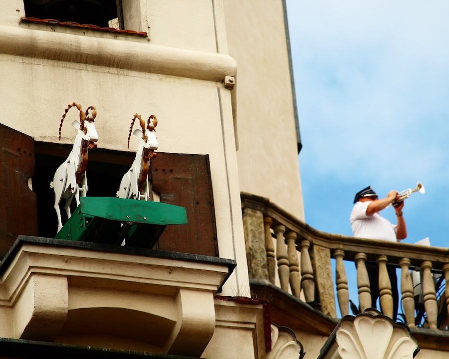 foto Poznan fotoportal